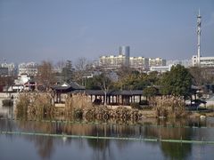 -葛仙湖公园