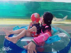 -新加坡水上探险乐园