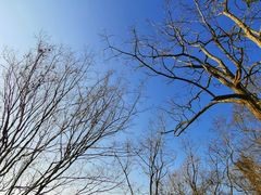 -上海佘山国家森林公园西佘山园