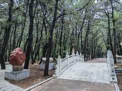 -林海公园