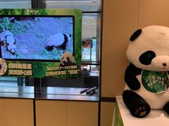 -眉州东坡(春秀路店)