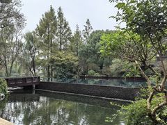 -杭州西子湖四季酒店-WL BISTRO西湖餐厅(灵隐路店)