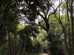 -青龙山国家森林公园