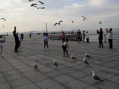 -东港音乐喷泉广场