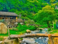 -狮子沟牧场