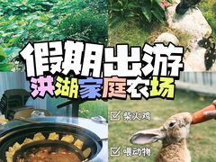 -洪湖家庭农场·团建·露营·会议