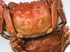 -上宴精品海鲜姿造(晶融汇旗舰店)