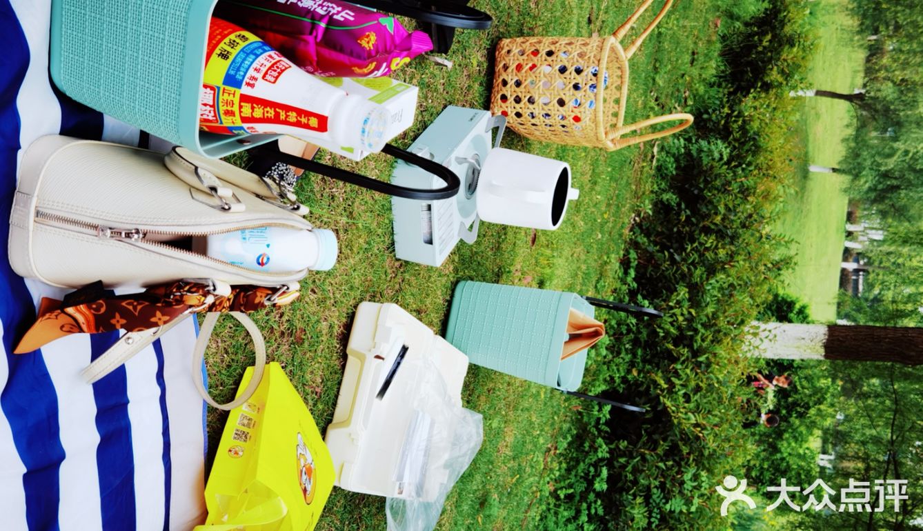 春天怎可不出去野餐煮茶呢？