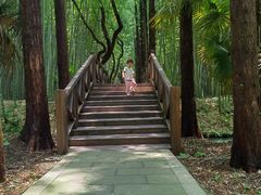 -同里国家湿地公园
