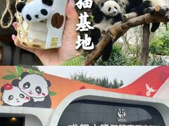 -成都大熊猫繁育研究基地