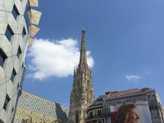 -斯蒂芬主教座堂(Stephansdom)
