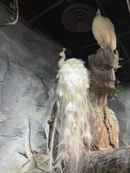 -Zoolung Zoolung动物主题公园(海信广场店)