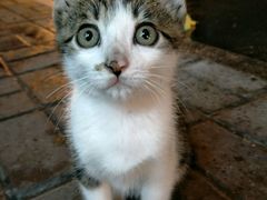 -富侨养生(康乾店)