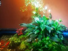 -隐炉和牛烧肉店(群力店)