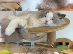 -江南大学(蠡湖校区)