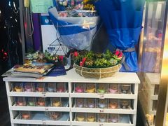 -枫花园汽车电影院(朝阳公园店)