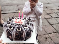 -林记开心动物奶油生日蛋糕(江南春晓店)