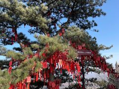 -天津盘山风景名胜区
