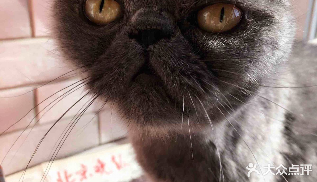 对不起的淘小桃🍑为什么不能珍惜过去的好时光？