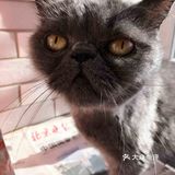 对不起的淘小桃🍑为什么不能珍惜过去的好时光？