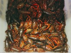 -阿马蛋汤·宁波小海鲜(总店)