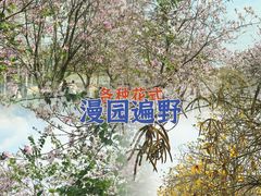 -盈香心动乐园