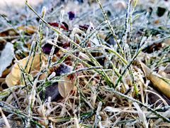 -长春公园(普阳街道)