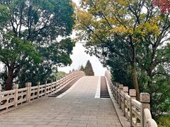 -渤公岛生态公园