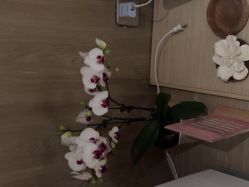 -AURAS璈然科技护肤中心