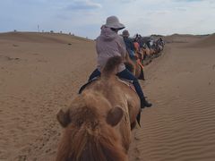 -银肯塔拉沙漠生态旅游景区