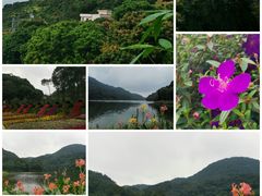 -广州市石门国家森林公园