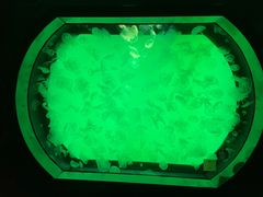 -沈阳海洋探索中心