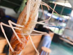 -小象钓虾·营地烧烤(洛溪店)