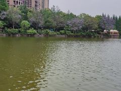 -成都南湖公园