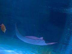 -沈阳海洋探索中心