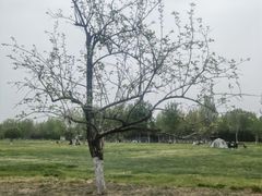 -汉长安城未央宫国家考古遗址公园