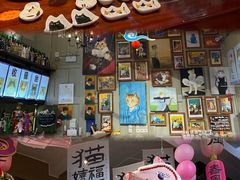 -猫咪博物馆(顶澳仔猫街店)