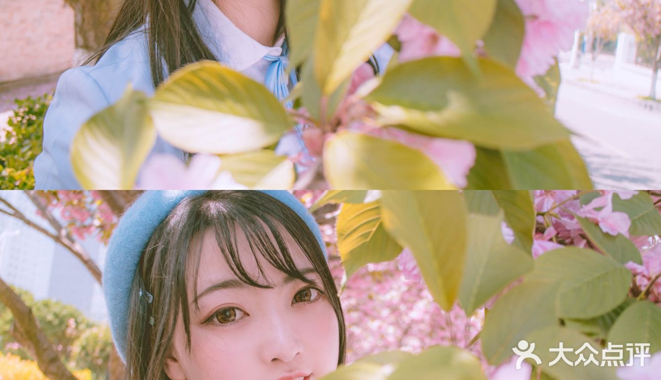 青岛超小众的樱花拍照地，重樱太美啦！而且没人哦！
