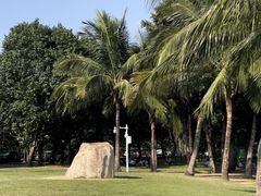 -深圳湾公园(南山区)
