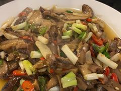 -草墩罗非鱼庄•野生菌•腊排骨(七星街上段店)