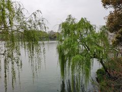 -苏堤停车场