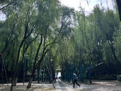 -柳浪闻莺公园