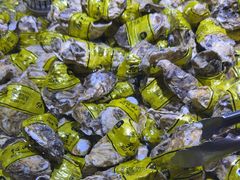 -聚盛源蒸汽海鲜火锅烤肉自助(巨川金海岸购物广场店)