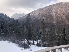 -黄龙山原始森林景区