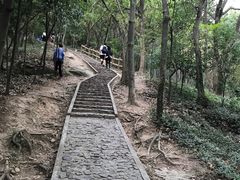 -上海佘山国家森林公园天马山园