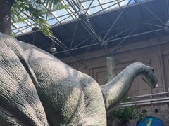 -国家自然博物馆