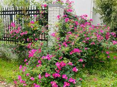 -江南大学(蠡湖校区)