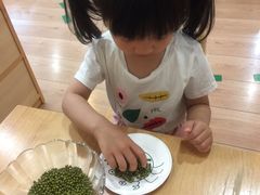 -雀儿音乐花园蒙特梭利托班