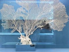 -中国湿地博物馆