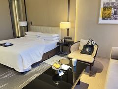 -成都尼依格罗酒店